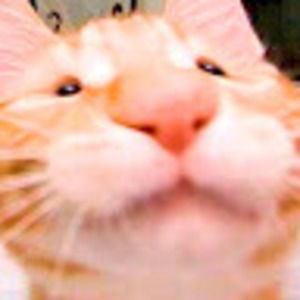 Meet your Posher, Kaitlyn